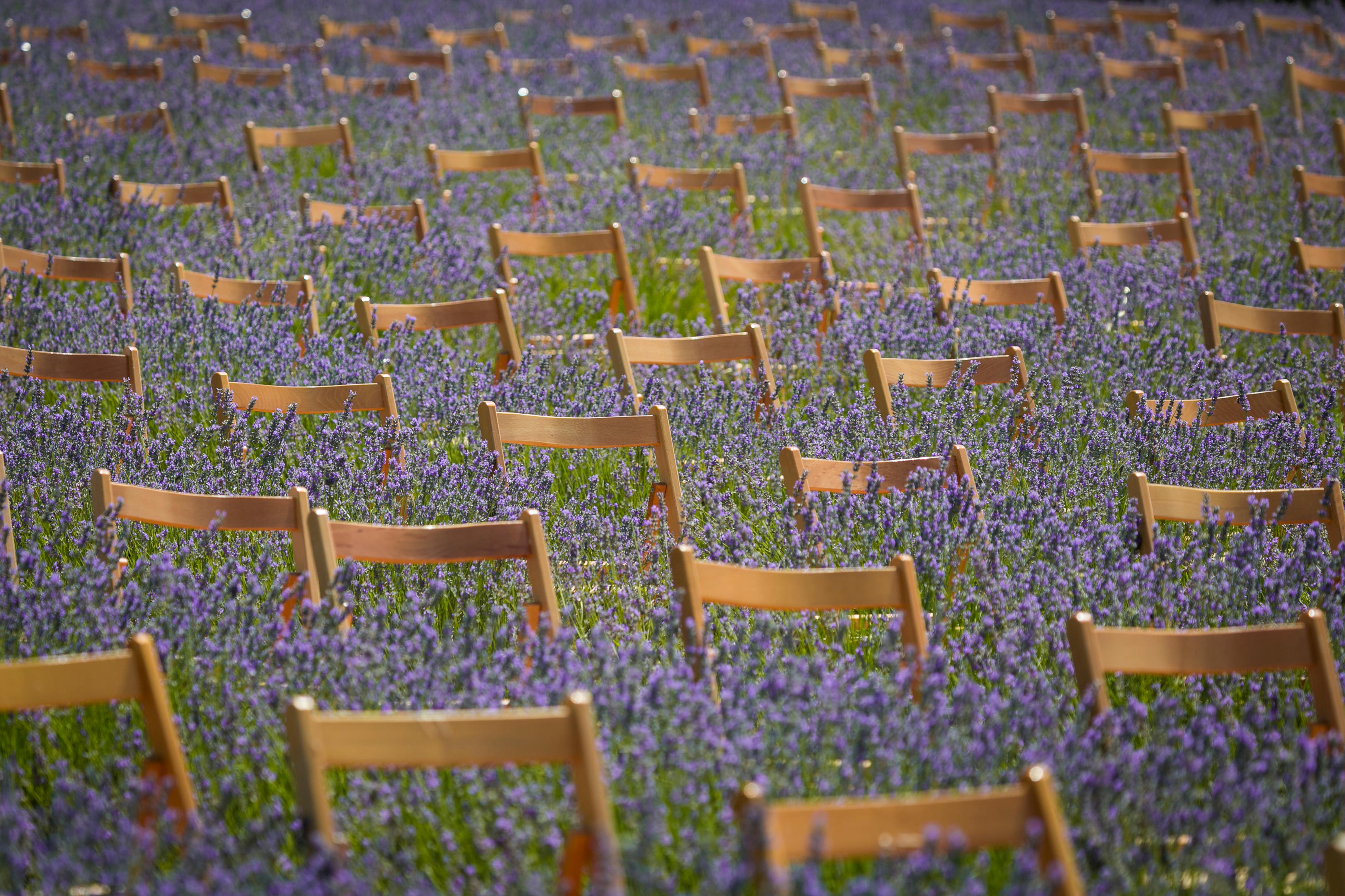 Images Sillasalquiler.com