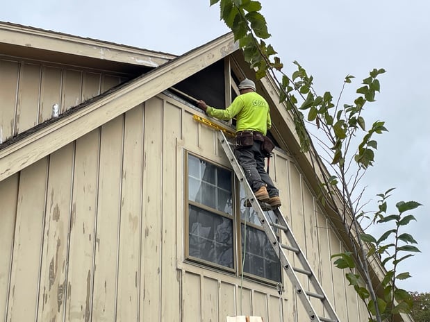 Images BPP Professional Painting LLC