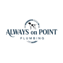 Always On Point Plumbing