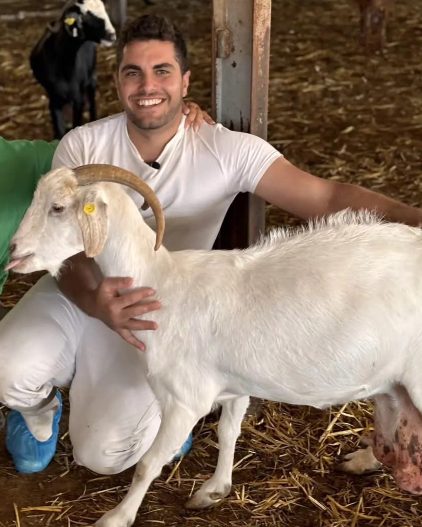 Images Queseria Caprarius