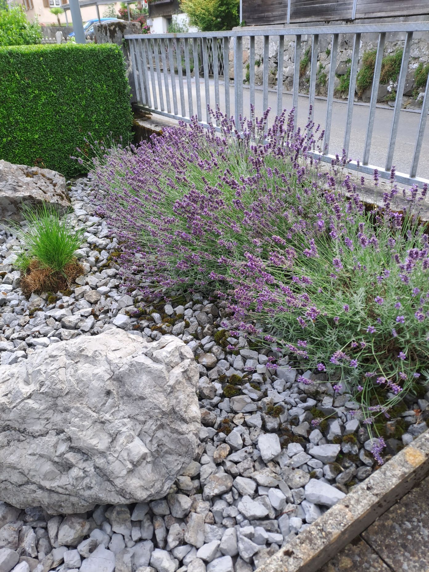 Bruno Winet, Privatgärtner, Im Hof 1 in Bilten