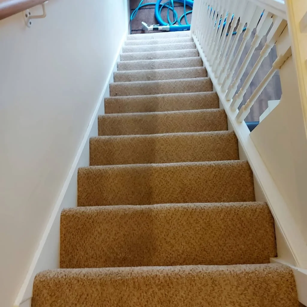 Images Titanium Cleaning