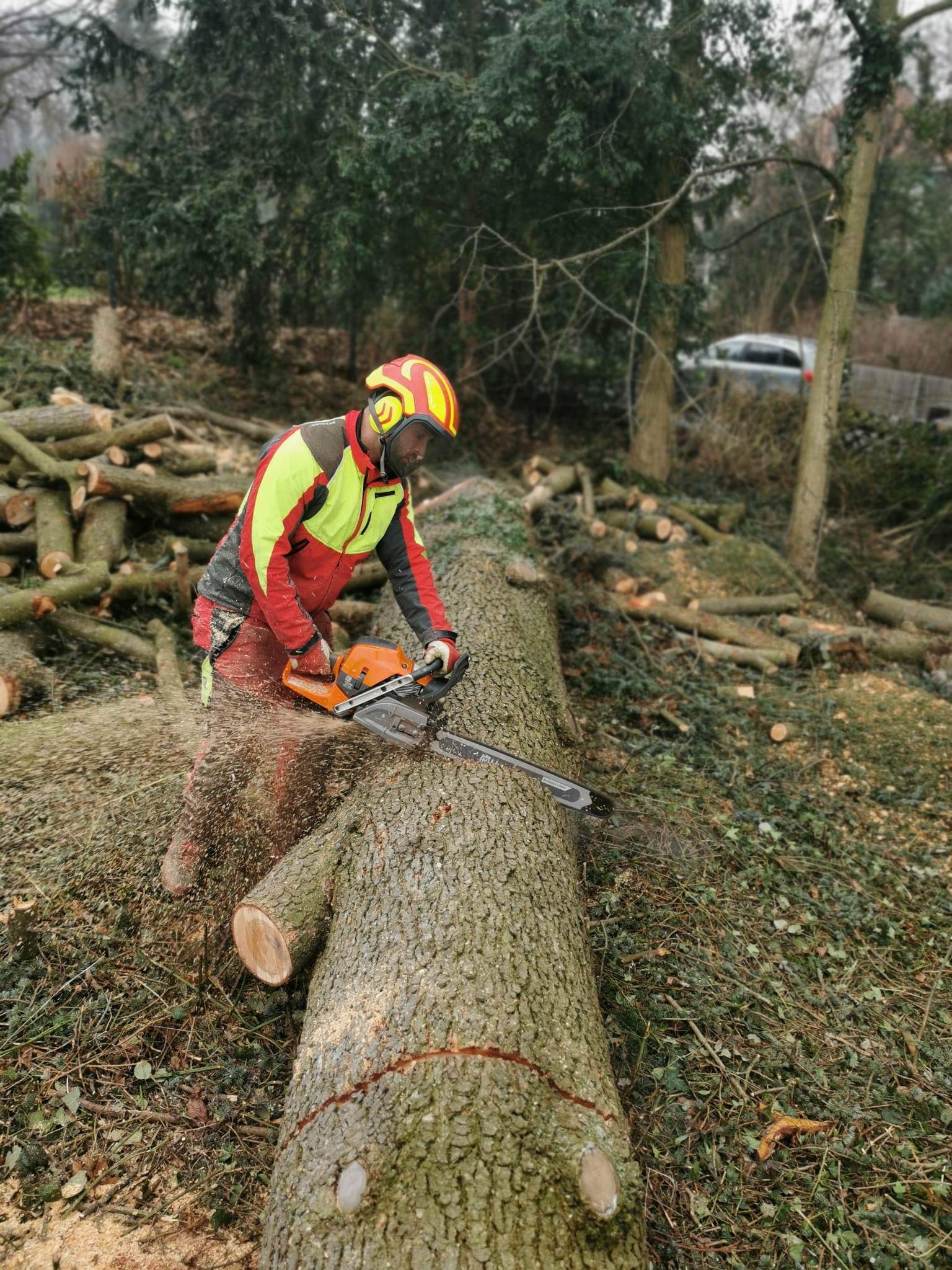 Baum- & Gartenpflege Loose in Melsbach