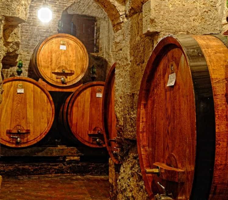 Azienda Agricola Contucci