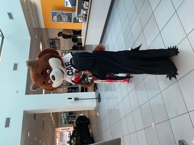 Images Webb Chevy Oak Lawn