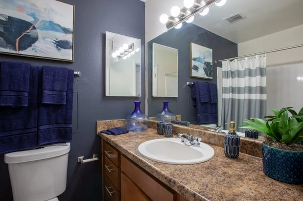 Images Midtown on Seneca Apartments