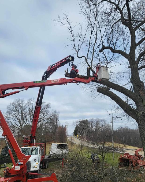 Images Smitty’s Tree Service LLC
