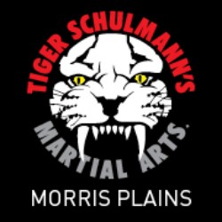 Tiger Schulmann's Martial Arts (Morris Plains, NJ) Logo