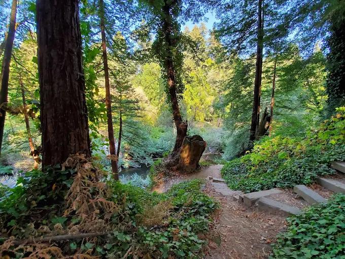 Images Santa Cruz Redwoods RV Resort