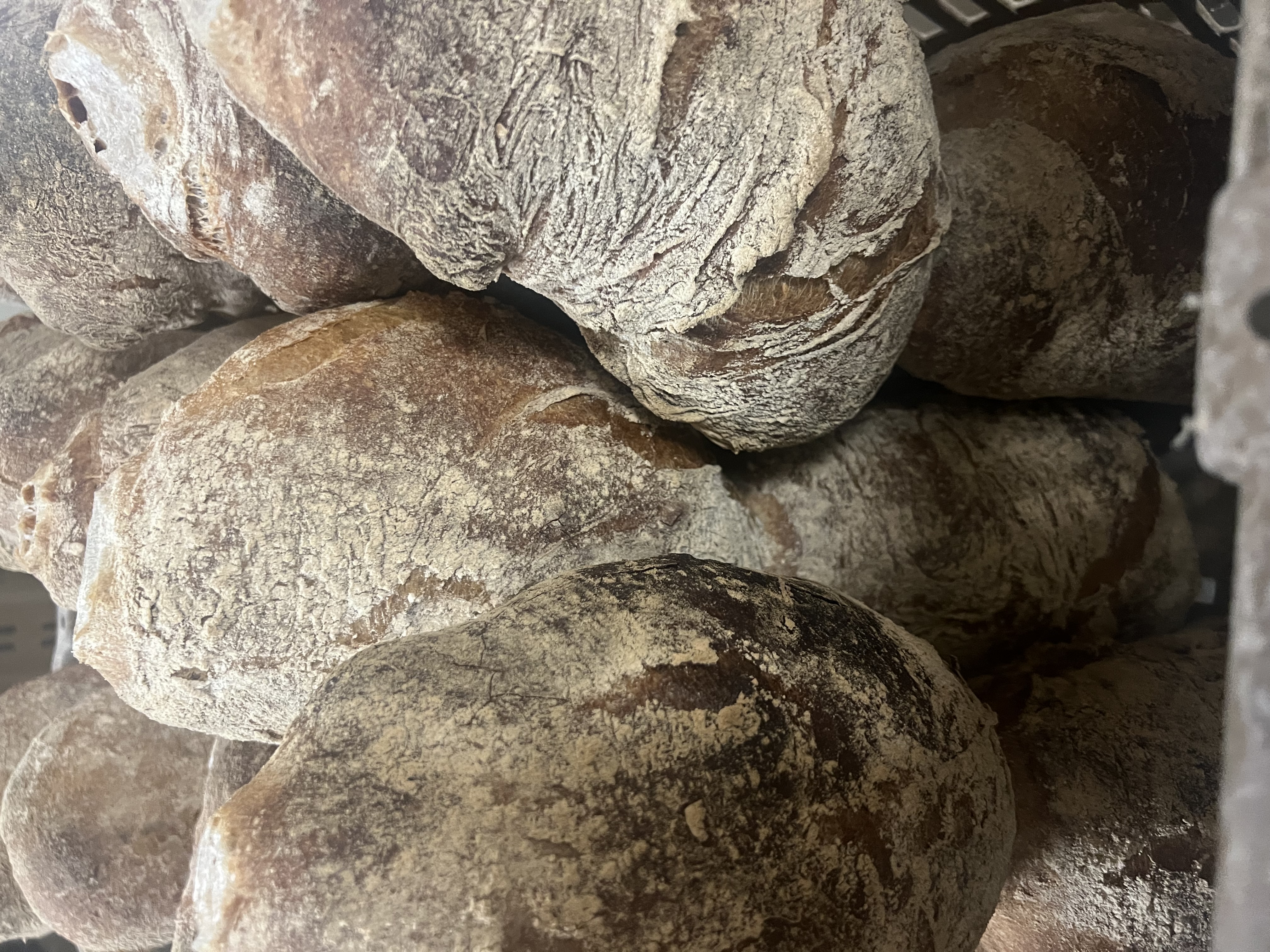Bilder Bäckerei-Konditorei Gasser