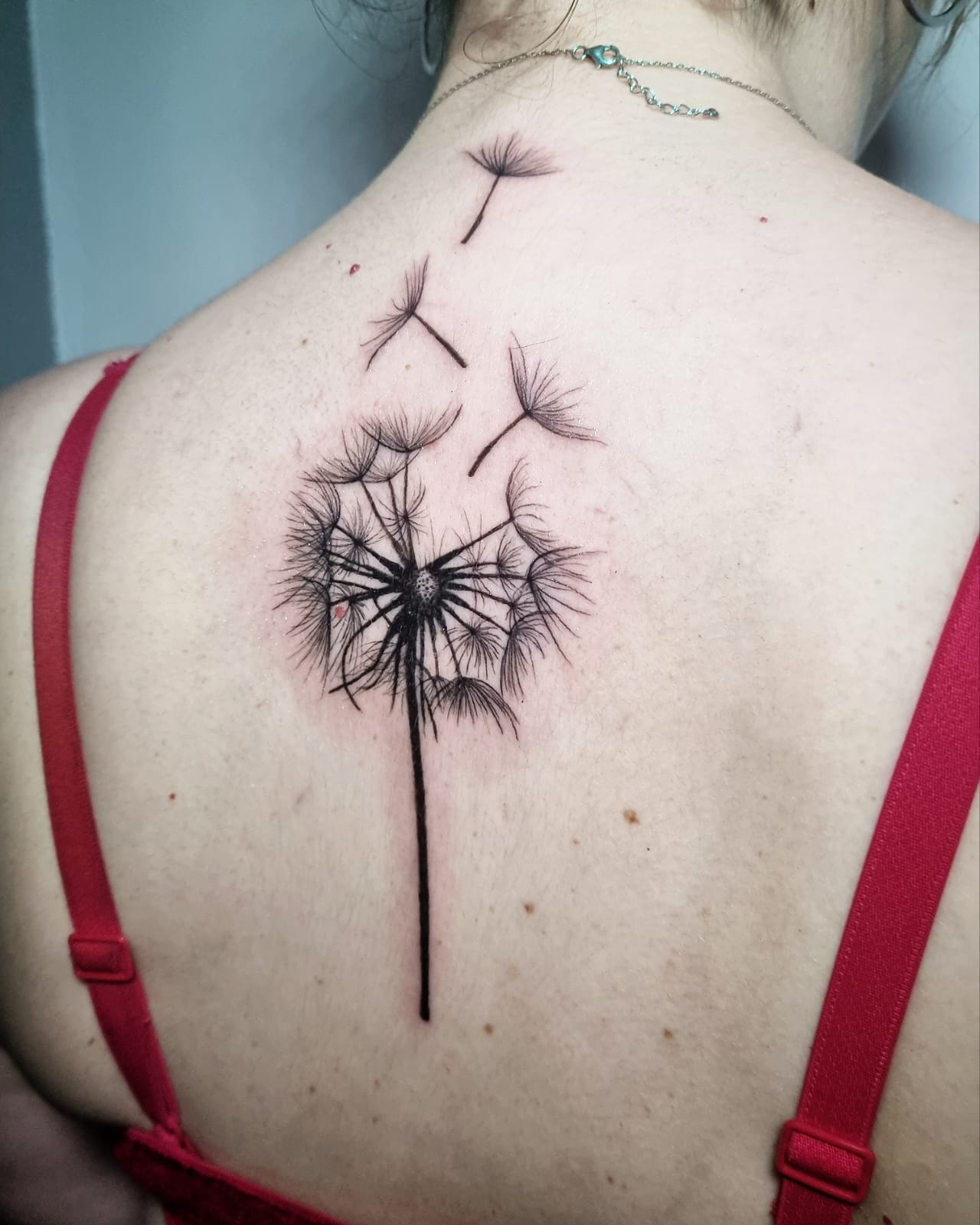 Images Noctaris Tattoo