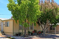 Images Flamingo Mobile Home Park