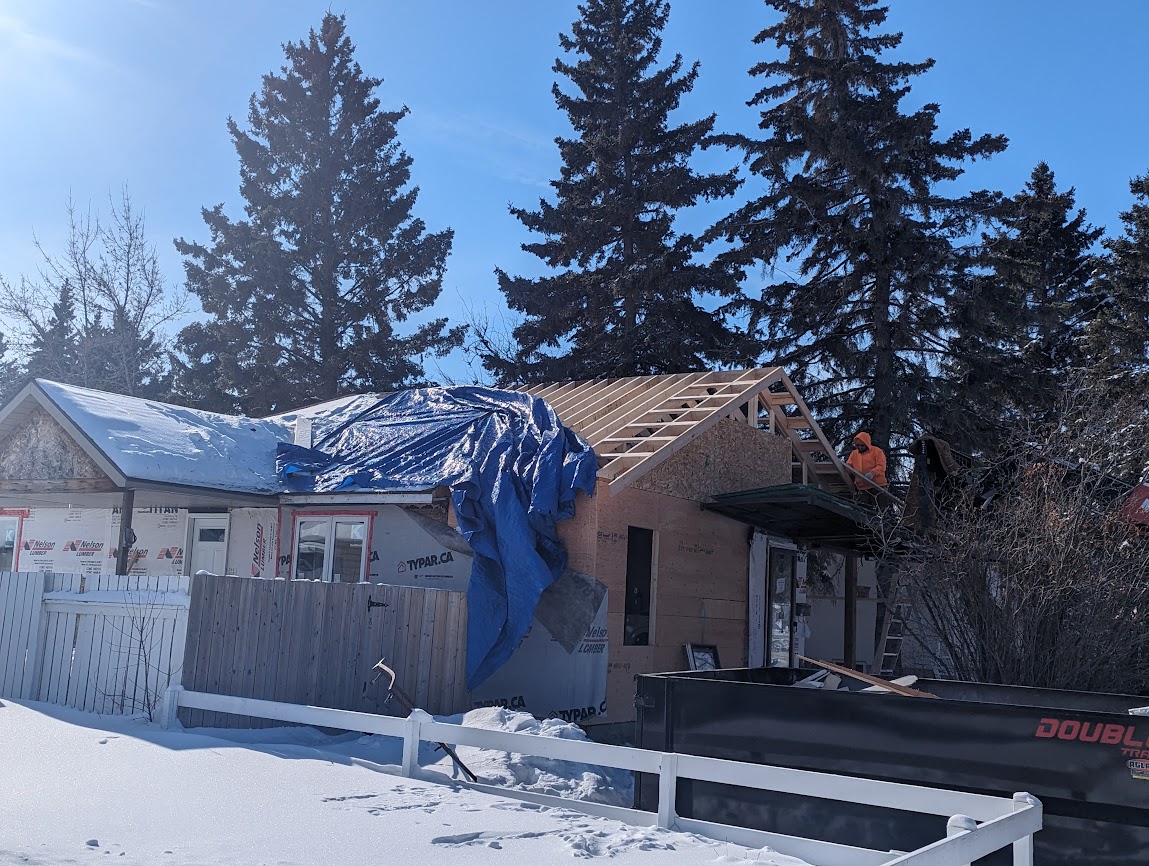 Images The Blue Spruce Builder