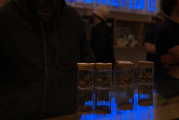 Images Catalyst Cannabis Marina