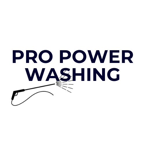 Pro Power Washing Logo