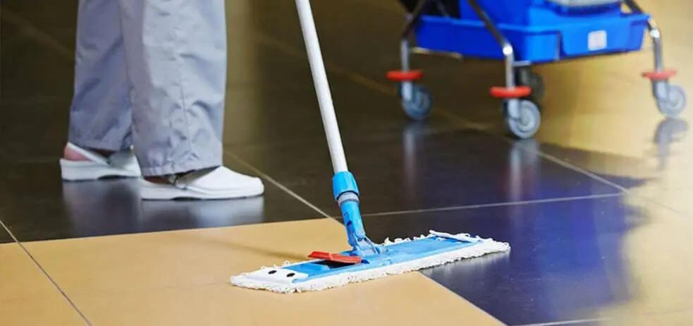 Images Clean Morelia