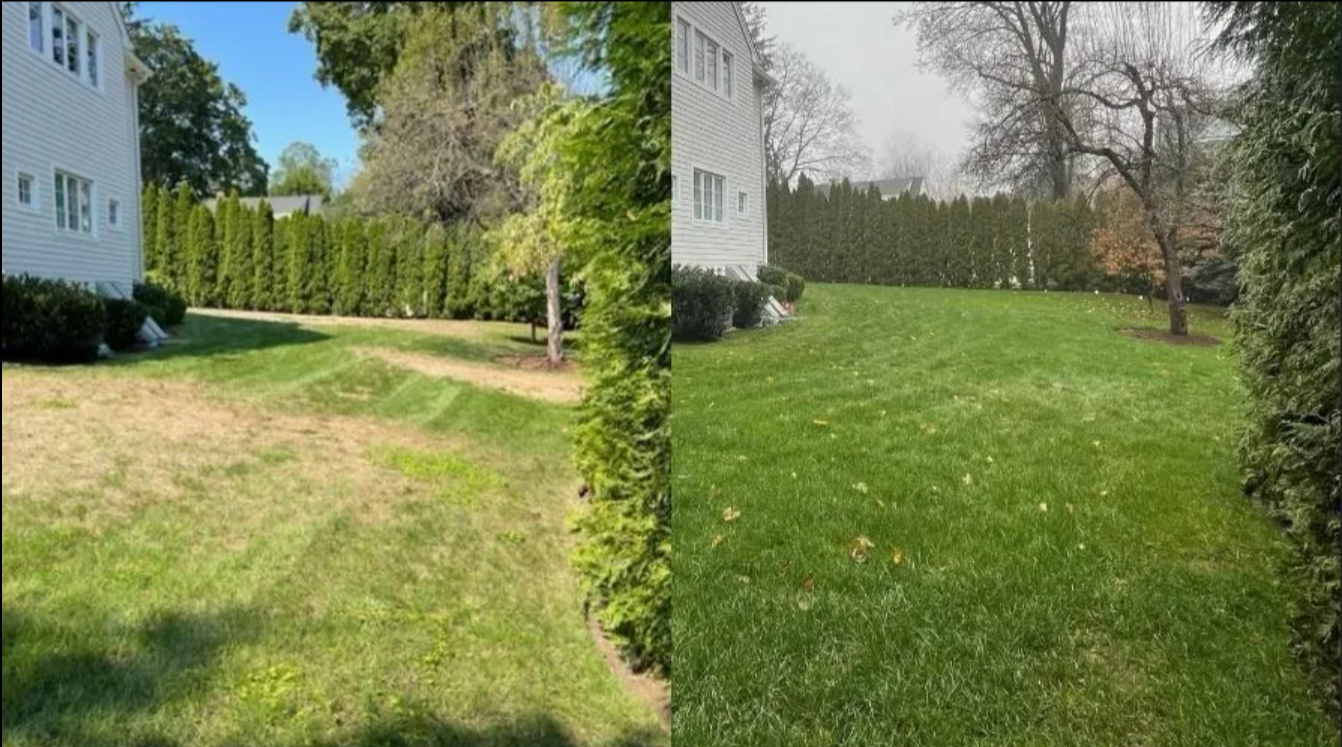 Lucky Lawn Stamford (203)329-8141