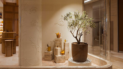 Images L'OCCITANE EN PROVENCE