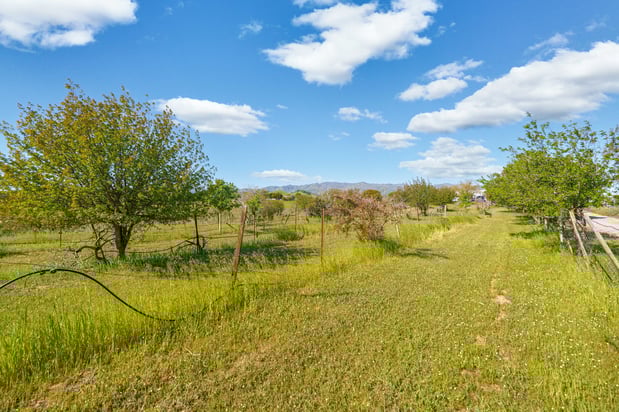 Images Davenport Real Estate Group | Keller Williams Bay Area Estates