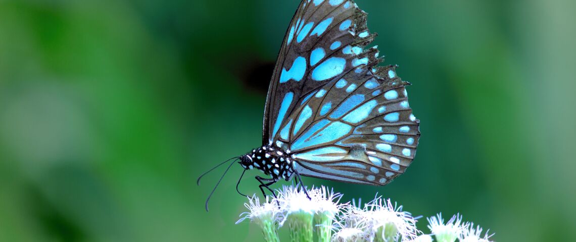 Bild 2 Krumtünger Bestattungen in Wadersloh
