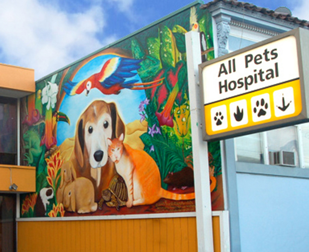 Images VCA All Pets Hospital