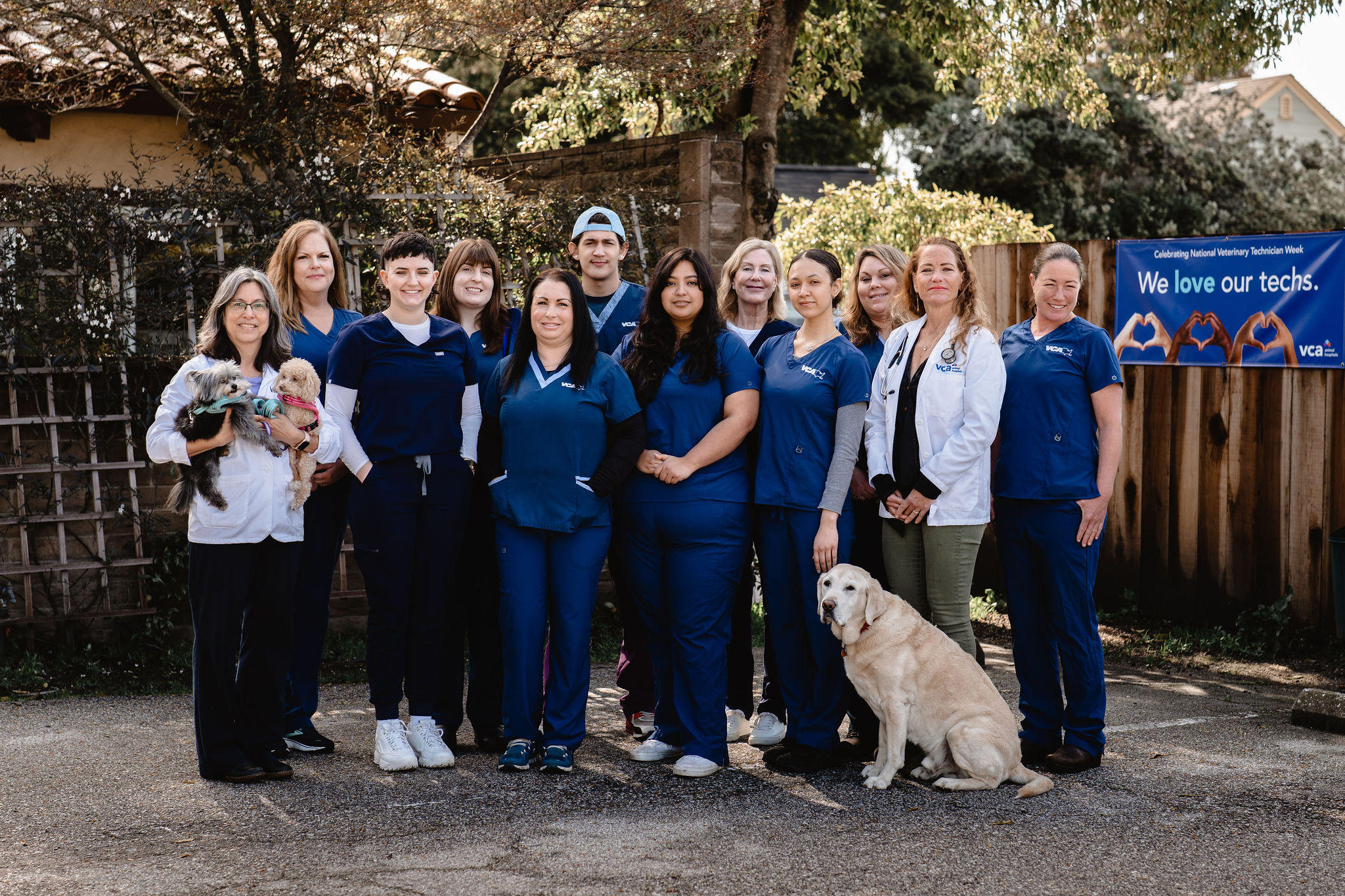 Best 30 Veterinarian Emergency Services in Santa Cruz CA with Reviews