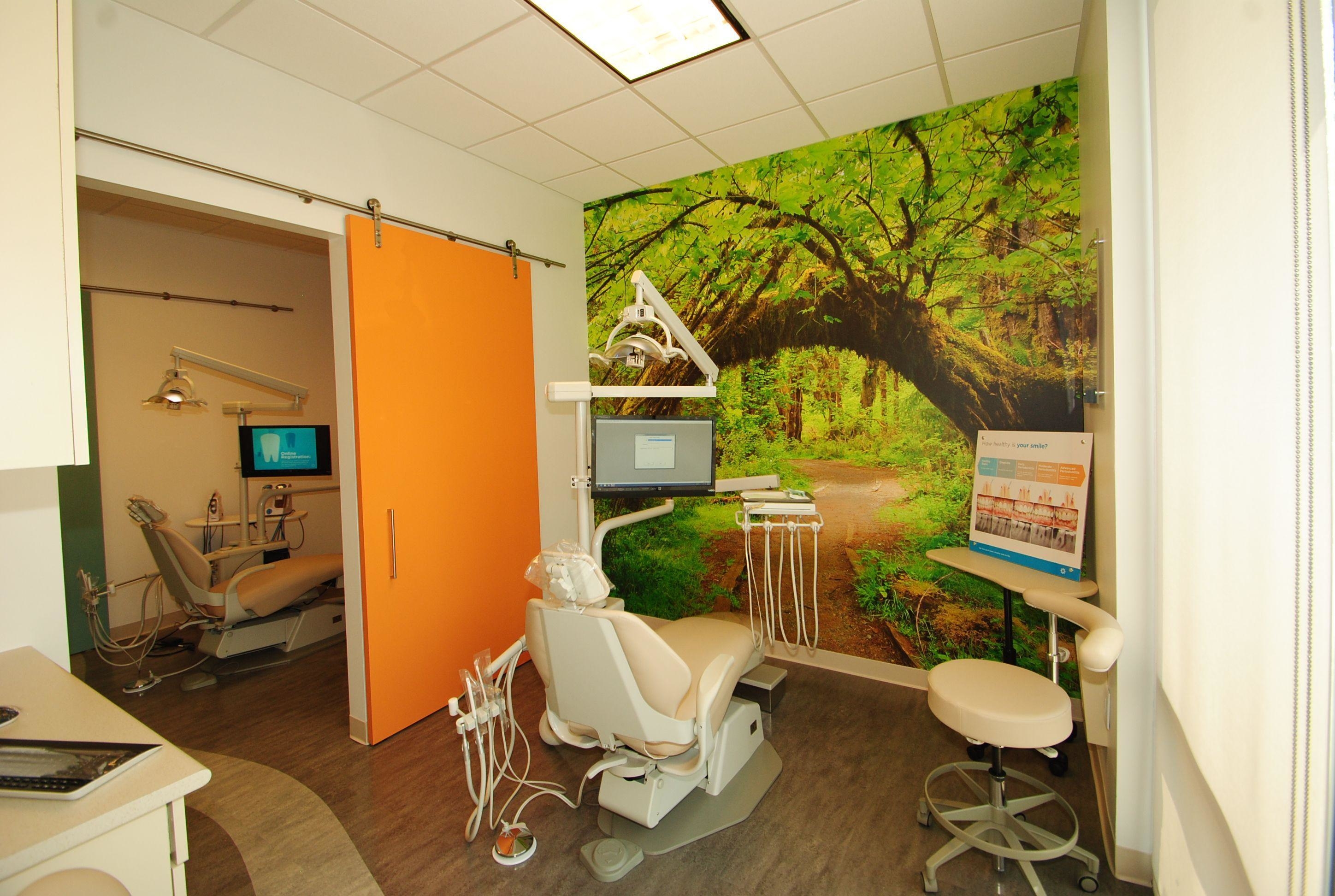 Our paperless system delivers electronic charting, digital imaging and enhanced case presentation at chair side.