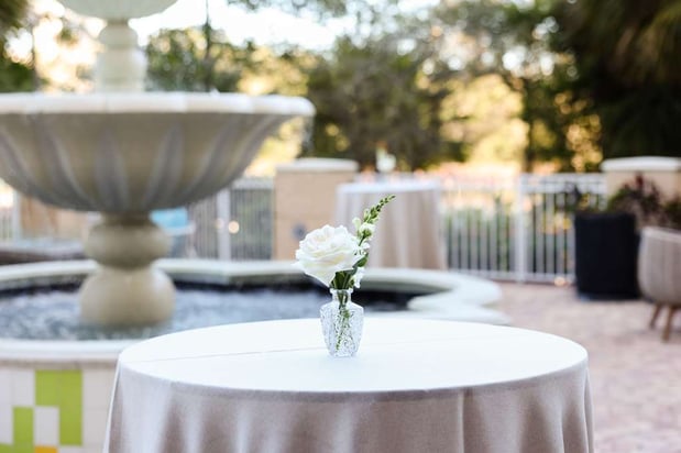 Images Hilton St. Petersburg Carillon Park