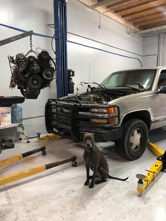 Images DW Autoworks