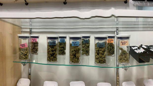 Images All City Plug