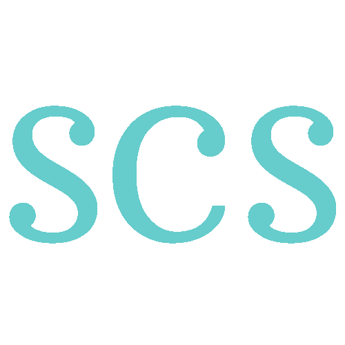 Skyline Computer Solutions Logo