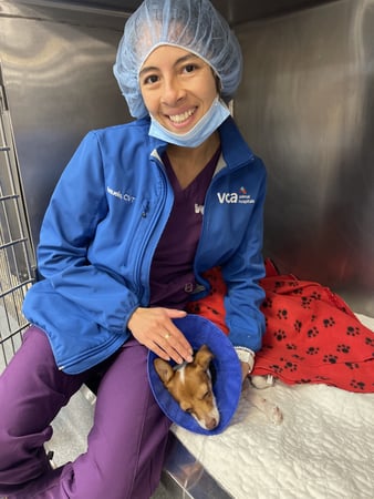 Images VCA Smoketown Animal Hospital