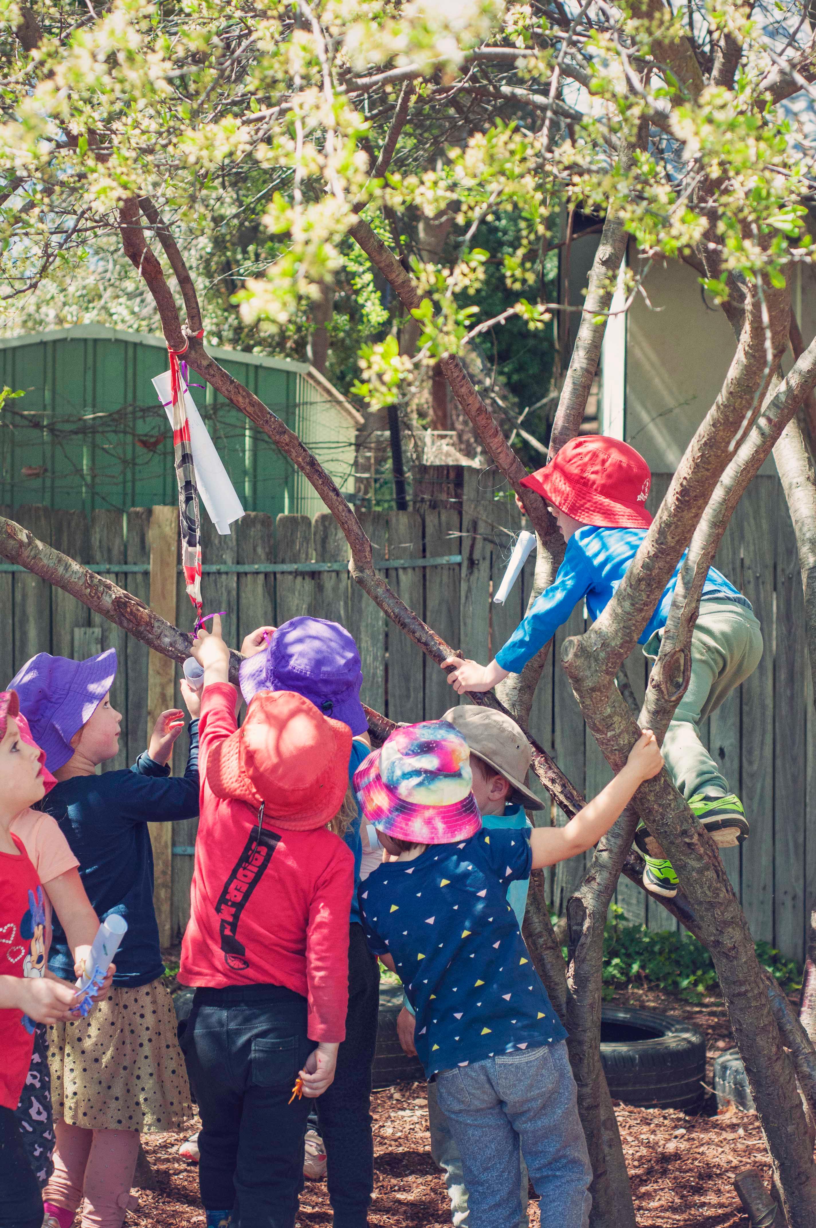 Images The Willows Preschool and Early Learning Centre