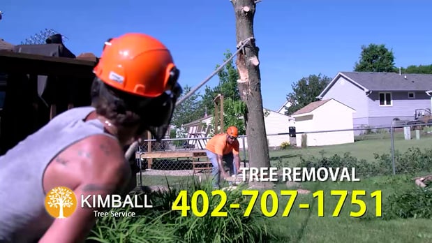 Images Kimball Tree Service