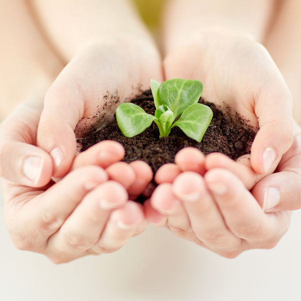 Images 伊藤はり・マッサージサロン