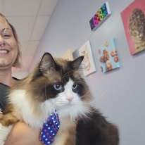 Lux Fur Pet Salon Image