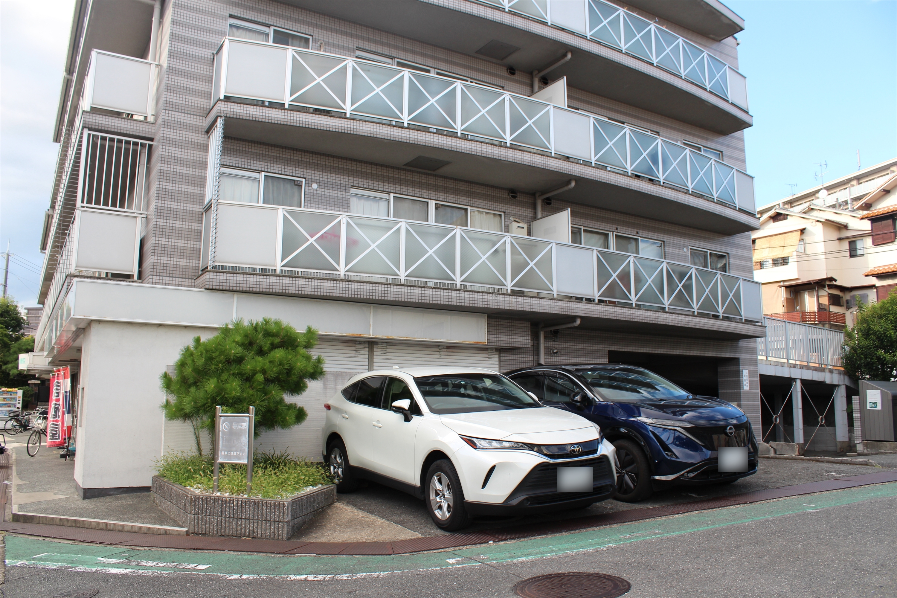 Images 太陽のとん