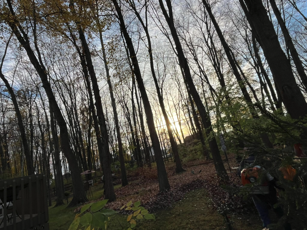 Winter can leave behind hidden damage in your trees that isn’t always easy to spot. Early spring is a good time to check for tree issues, weak or broken limbs, before they become a problem. Lions Tree & Landscaping works with homeowners in communities like Monroe, Ohio to keep trees safe and healthy.