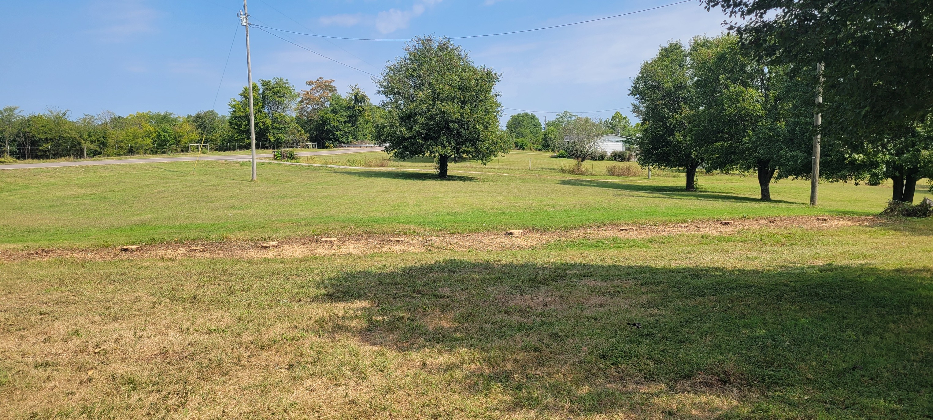 Roseboro's Tree Works Image