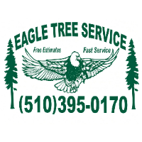Eagle Tree Service