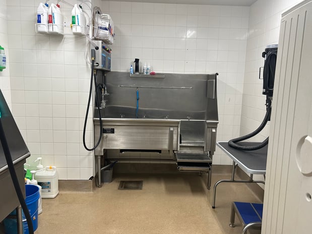 Images Petco Grooming