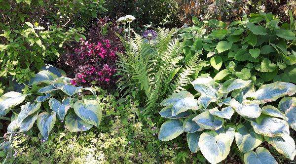 KLUG IM GARTEN - DI Helmut Klug Gartengestaltung & Schwimmteichbau, Doppl 6 in Schwertberg