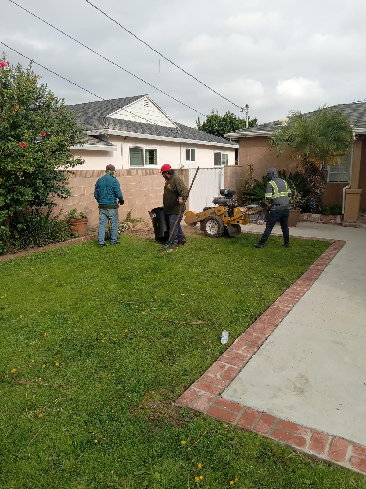 Daniel’s Tree Service Image