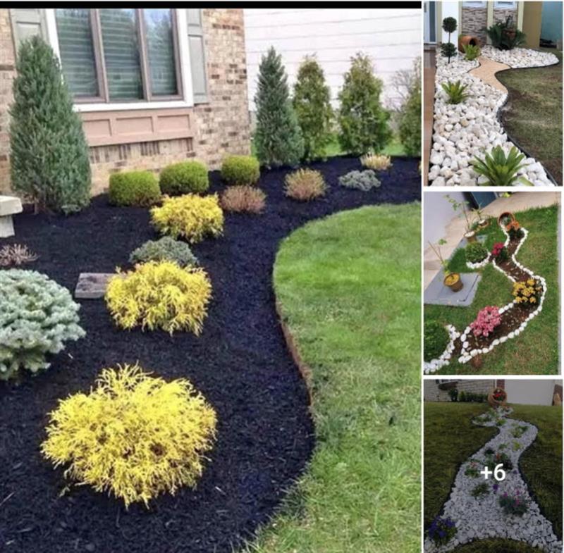 Images Freddy & Bros Landscapes & Tree Care Company