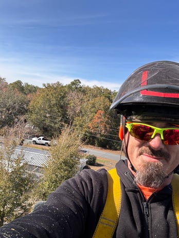 Images Trent's Tree Service The Neighborhood Arborist LLC