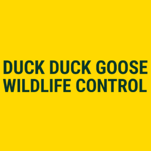 Duck Duck Goose Wildlife Control
