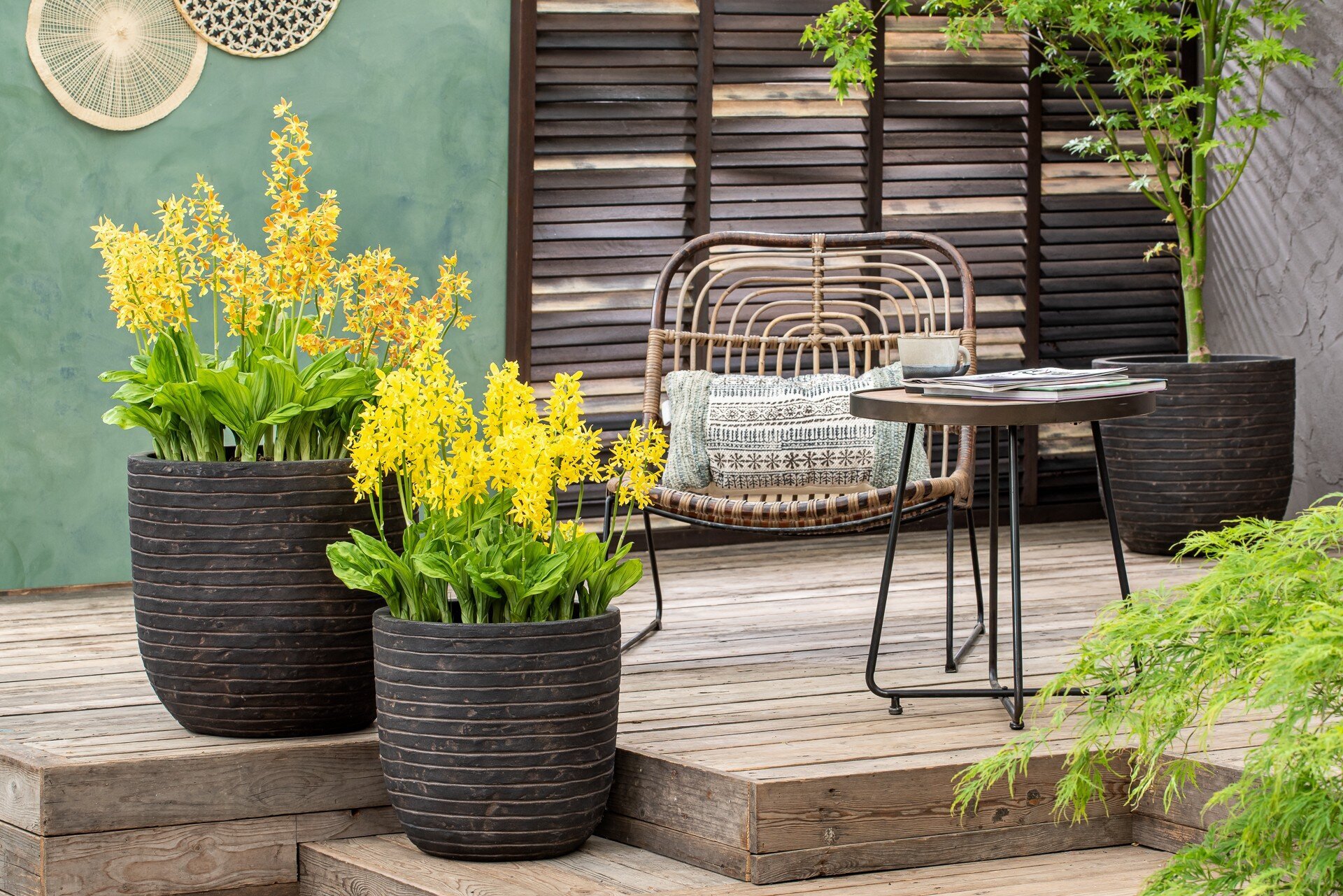 Bilder Gartenwerkstatt Schreiner, Inhaberin Sabine Schreiner