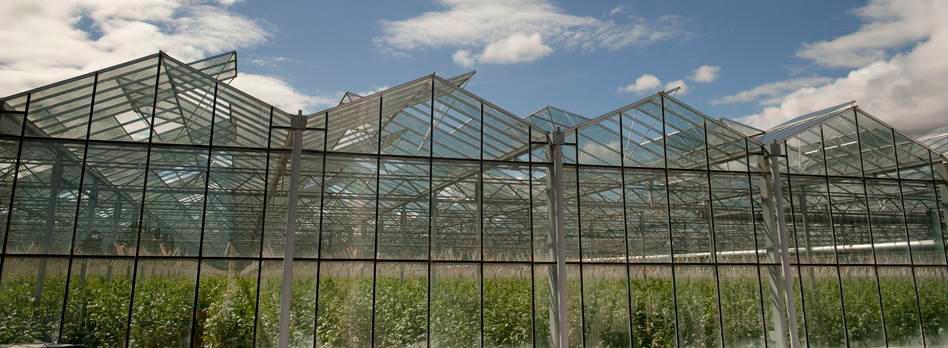 Images Árpád Biokontroll 2003 Kft.