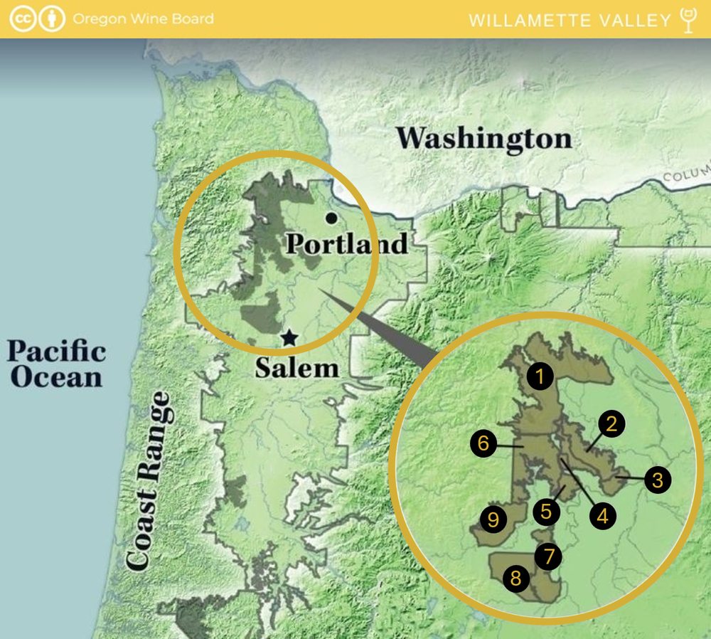 Discover the best sustainable wineries in Portland with Excalibur Vintage Quests. My expertly guided tours showcase premier wineries committed to environmentally conscious viticulture. Immerse yourself in Portland’s vibrant wine scene as you explore lush vineyards, savor distinctive varietals, and learn about sustainable wine production practices—all designed to create an eco-friendly and enriching tasting experience.