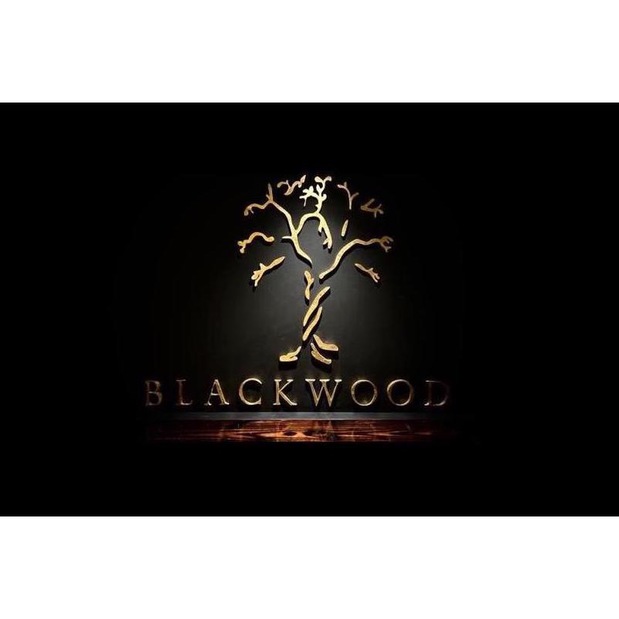 Blackwood Studios Logo